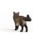 Schleich Ragdoll Kedi 13940 4