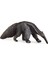 Schleich Karıncayiyen 14844 1
