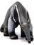 Schleich Karıncayiyen 14844 2