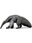 Schleich Karıncayiyen 14844 3