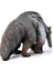 Schleich Karıncayiyen 14844 5