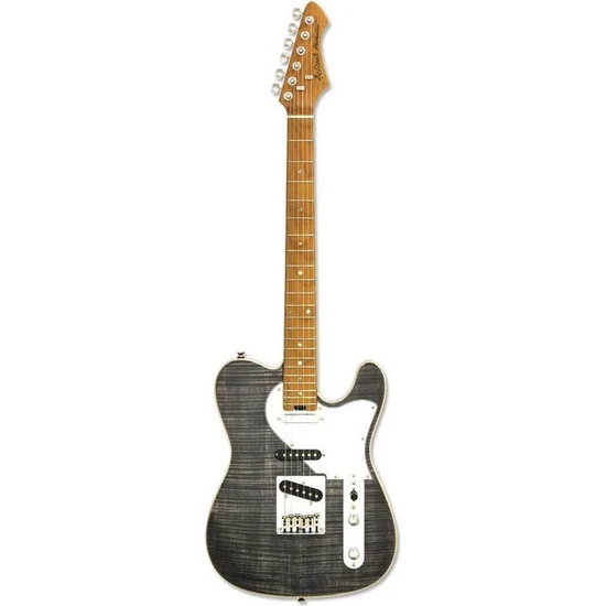 Aria Pro Iı 615MK2-BKDM Nashville Elektro Gitar