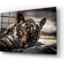 Insigne Kaplan Cam Tablo - 72X46 cm