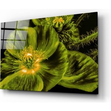 Insigne Malvales Çiçeği Cam Tablo - 72X46 cm