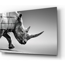 Insigne Siyah Gergedan Cam Tablo - 72X46 cm