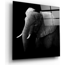 Insigne Fil Cam Tablo - 60X60 cm