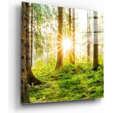 Insigne Orman Cam Tablo - 40X40 cm
