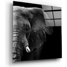 Insigne Fil Cam Tablo - 60X60 cm