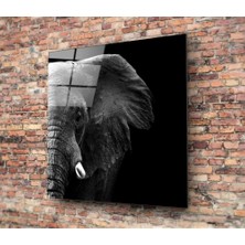 Insigne Fil Cam Tablo - 60X60 cm