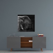 Insigne Fil Cam Tablo - 60X60 cm