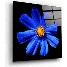 Insigne Mavi Çiçek Cam Tablo - 60X60 cm