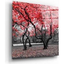 Insigne Kızıl Ağaç Cam Tablo - 80X80 cm