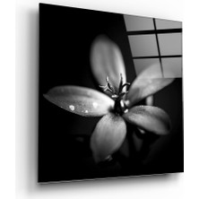 Insigne Çiçek Cam Tablo - 100X100 cm
