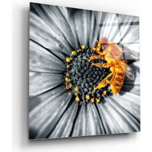 Insigne Arı Cam Tablo - 80X80 cm