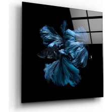 Insigne Betta Balık Cam Tablo - 60X60 cm