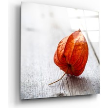 Insigne Kuru Yaprak Cam Tablo - 40X40 cm