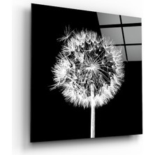 Insigne Karahindiba Cam Tablo - 40X40 cm