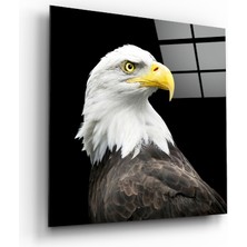 Insigne Kartal Cam Tablo - 40X40 cm