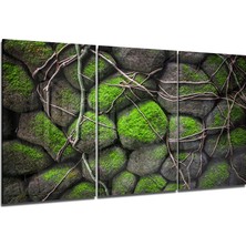 Insigne Yosunlu Taşlar Mega Cam Tablo - 3 Adet 72X46 cm