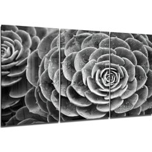 Insigne Sukulent Cam Tablo - 3 Adet 72X46 cm