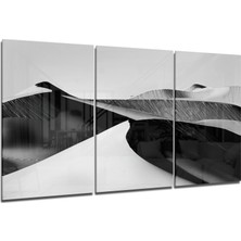 Insigne Çöl Cam Tablo - 3 Adet 72X46 cm