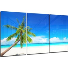 Insigne Sahildeki Palmiye Cam Tablo - 3 Adet 72X46 cm