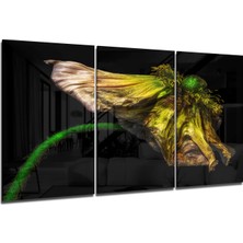 Insigne Makro Çiçek Cam Tablo - 3 Adet 72X46 cm