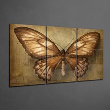 Insigne Kelebek Cam Tablo - 3 Adet 72X46 cm