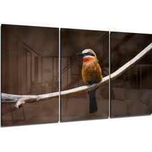 Insigne Arıkuşu Cam Tablo - 3 Adet 72X46 cm