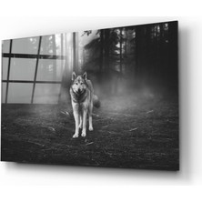 Insigne Kurt Cam Tablo - 72X46 cm