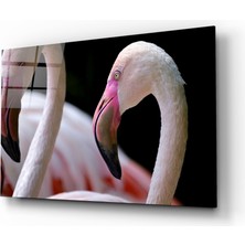Insigne Flamingo Cam Tablo - 72X46 cm