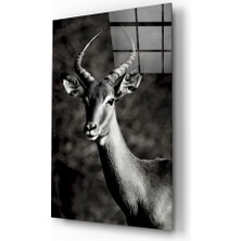 Insigne Geyik Cam Tablo - 72X46 cm