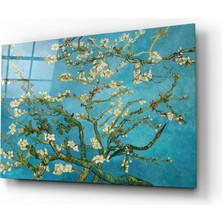 Insigne Beyaz Çiçekler Cam Tablo - 72X46 cm