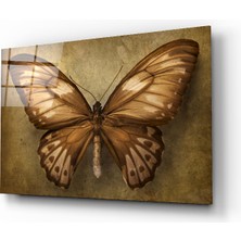 Insigne Kelebek Cam Tablo - 72X46 cm