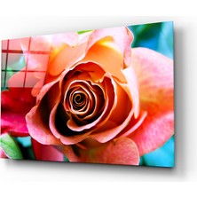 Insigne Gül Cam Tablo - 110X70 cm