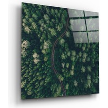 Insigne Orman Yolu Cam Tablo - 40X40 cm