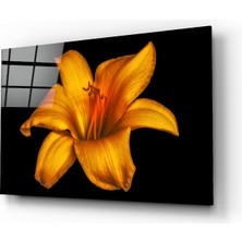 Insigne Zambak Cam Tablo - 72X46 cm