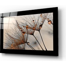 Insigne Tarçın Karahindiba Cam Tablo - 72X46 cm