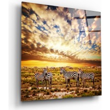 Insigne Zebralar Cam Tablo - 60X60 cm