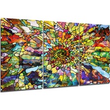 Insigne Renk Cümbüşü Cam Tablo - 3 Adet 72X46 cm