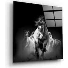 Insigne Koşan At Cam Tablo - 60X60 cm