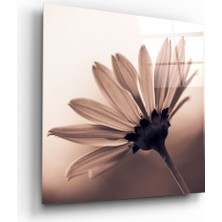 Insigne Çiçek Cam Tablo - 60X60 cm