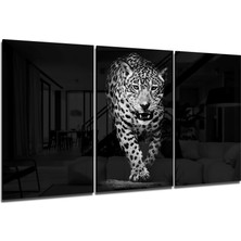 Insigne Karanlıktaki Leopar Mega Cam Tablo - 3 Adet 72X46 cm