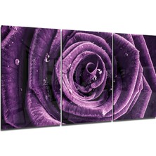 Insigne Gül Cam Tablo - 3 Adet 72X46 cm