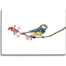 Insigne Daldaki Kuş Uv Baskılı Cam Kesme Tablası 35X25 cm