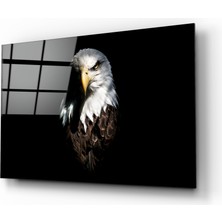 Insigne Kartal Cam Tablo - 110X70 cm