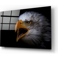 Insigne Kartal Cam Tablo - 72X46 cm