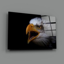 Insigne Kartal Cam Tablo - 72X46 cm