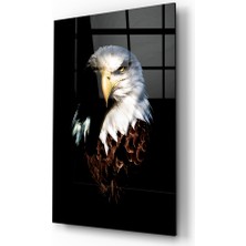 Insigne Kartal Cam Tablo - 72X46 cm