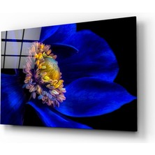Insigne Çarkıfelek Cam Tablo - 72X46 cm